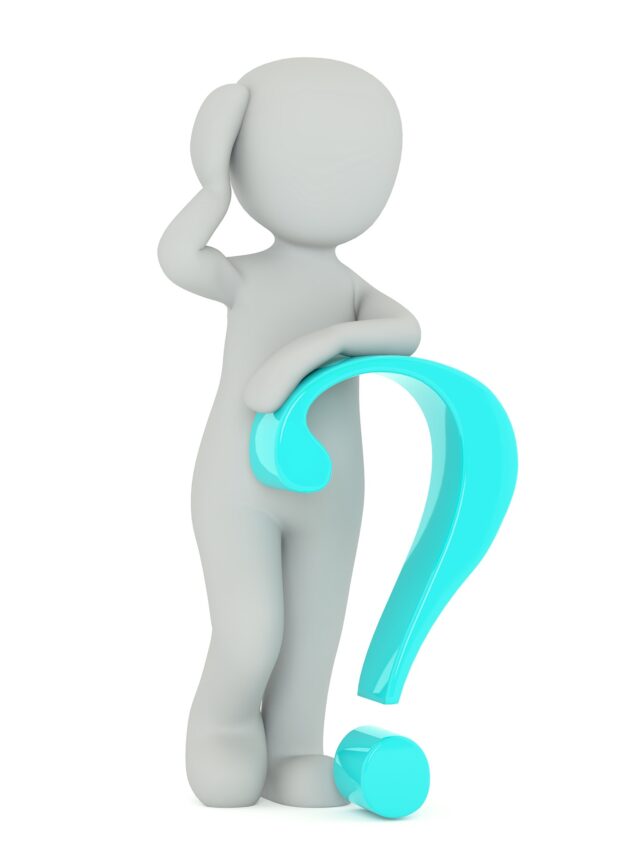 What a stock trader does ?